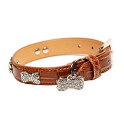 Dog Collars
